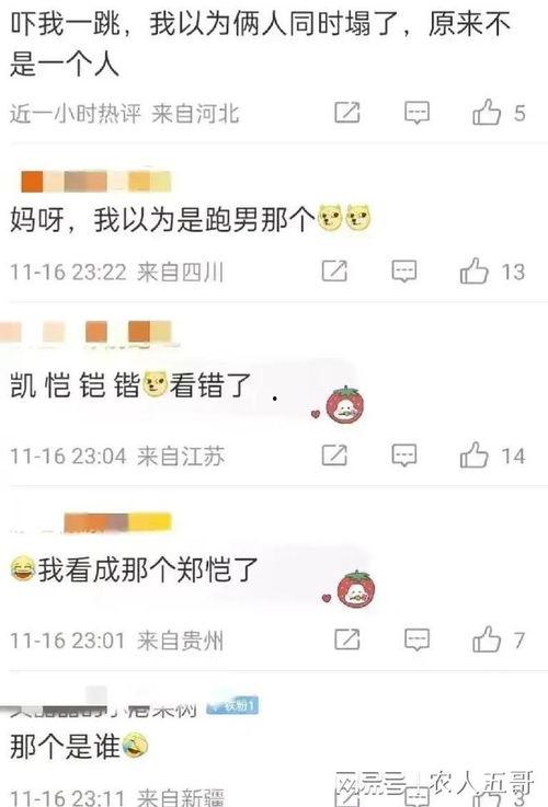 今日娱乐吃瓜最新信息网,揭秘今日热门吃瓜事件