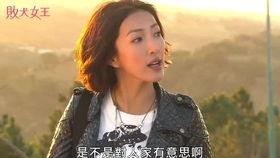 娱乐圈二哥吃瓜,揭秘明星背后的故事与真相