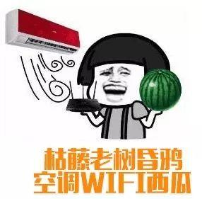 娱乐吃瓜群众1,揭秘娱乐圈背后的那些事儿