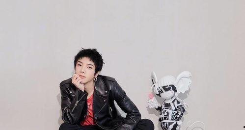 娱乐八卦吃瓜张碧晨华晨宇,揭秘背后的故事