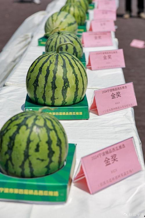 甜的娱乐吃瓜,揭秘娱乐圈甜蜜瓜皮背后的故事