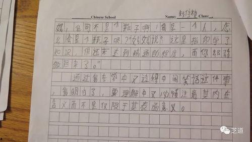 吃瓜大赛作文两轮,两轮角逐，瓜界风云再起