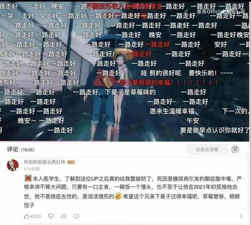 娱乐圈吃瓜游戏视频,视频带你领略明星幕后故事