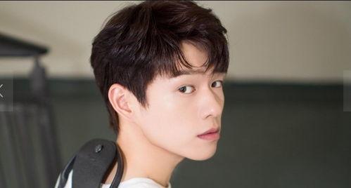 娱乐吃瓜菌王晨正