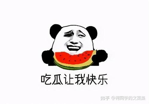 娱乐吃瓜点评文案搞笑